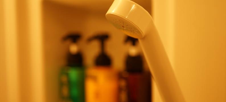 奈良日式旅馆(Nara Ryokan)图片