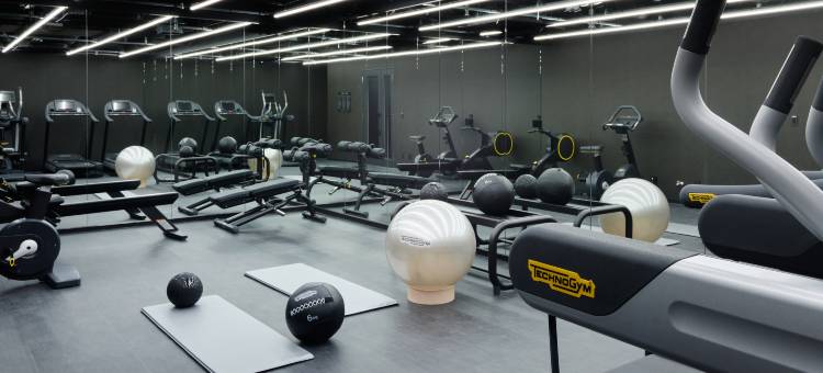 三井花园酒店六本木普米尔(Mitsui Garden Hotel Roppongi Tokyo Premier)图片