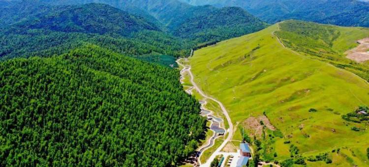 和政鸿森国际酒店图片