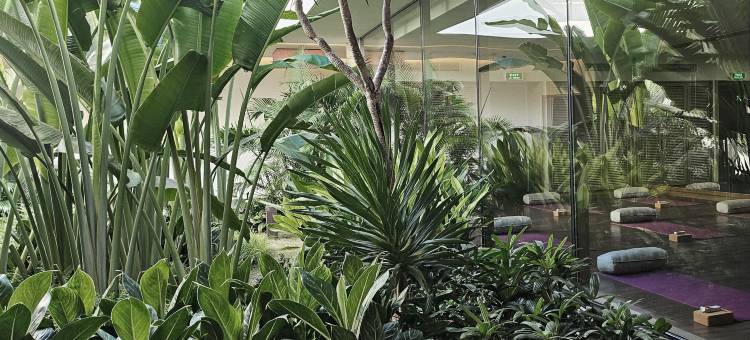 富森度假村及别墅岘港(Fusion Resort & Villas Da Nang - Wellness Inclusive)图片