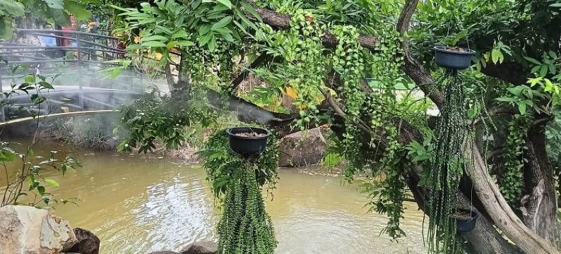 达维卡酒店(DaViKa Hotel)图片