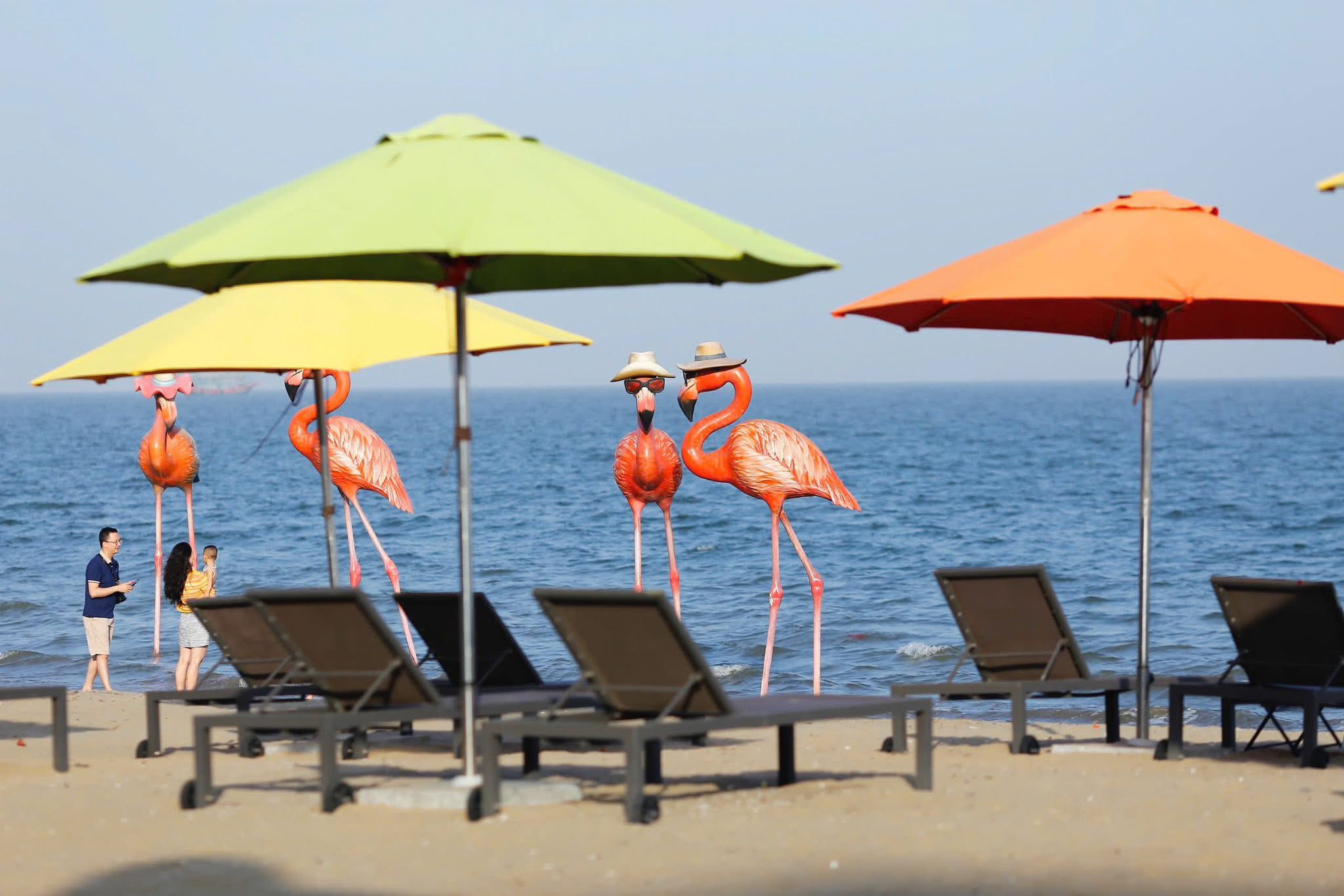 Flamingo HAI TIEN Sea viewOver view