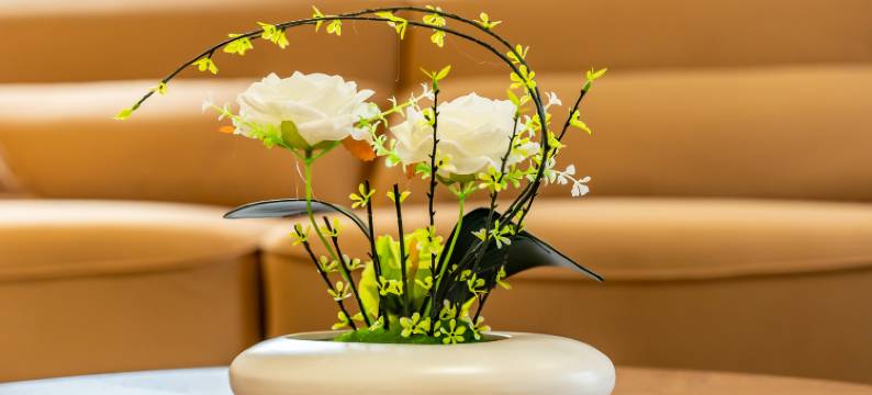 中南湾舒歌别院图片