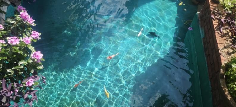 星椰漫漫民宿(海口美兰机场店)图片