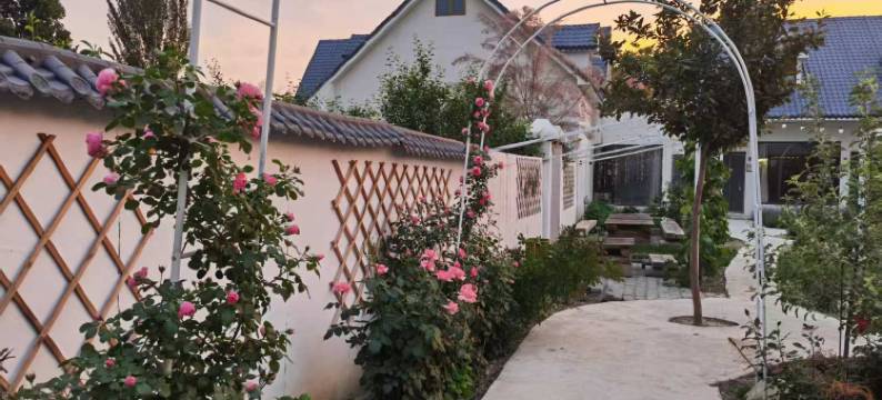 后院乡村十七巷民宿(霍尔果斯店)图片