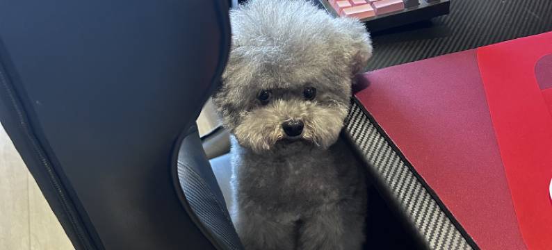 凡贝电竞民宿图片