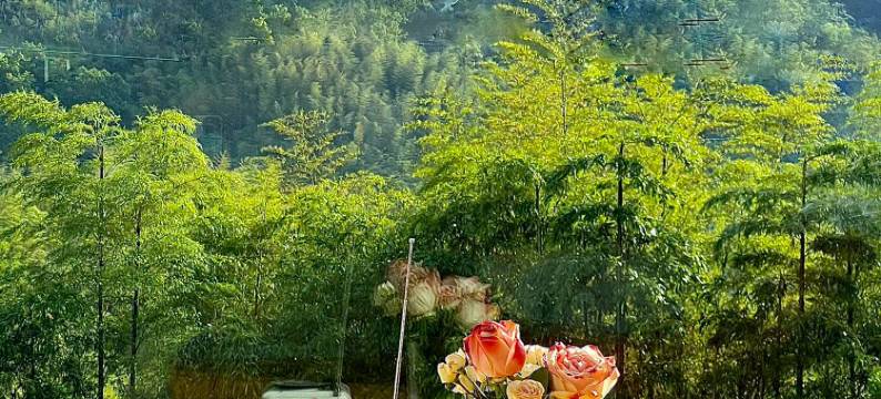 安吉竹隐漫居·环山观景·滑雪轰趴·休闲度假民宿 (天荒坪店)图片