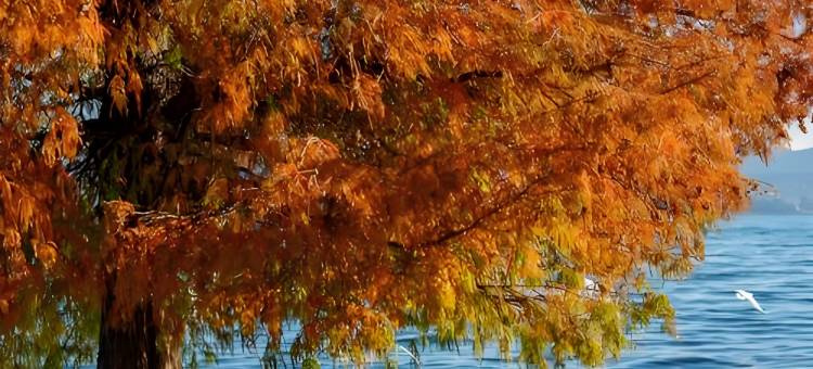 大理驿泊·迷漾My观海墅(海东理想邦店)图片