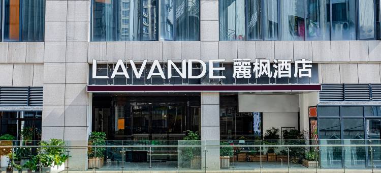 麗枫酒店(张家界市中心泊富广场店)图片