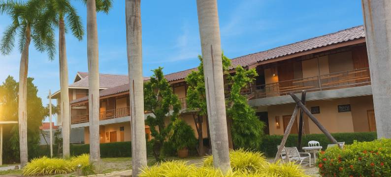 棕榈拥抱旅馆(Palm Hug)图片