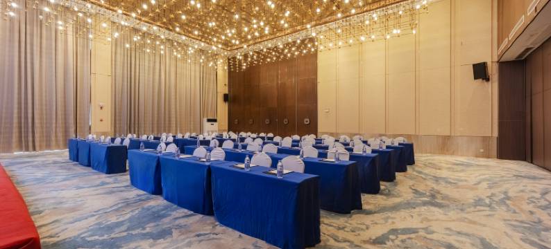 芜湖湾沚绿地铂骊酒店图片