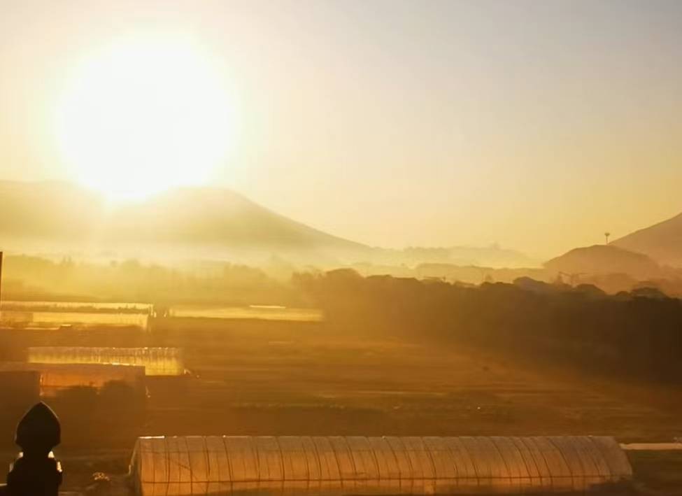 观舢小院(朱家尖风景区观音法界店)图片