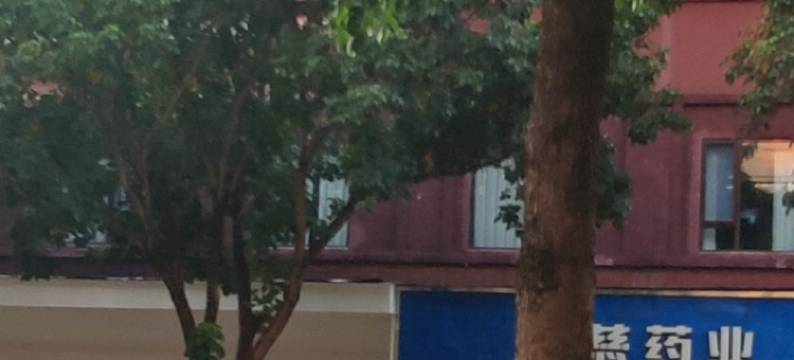 顺悦酒店(市政府店)图片