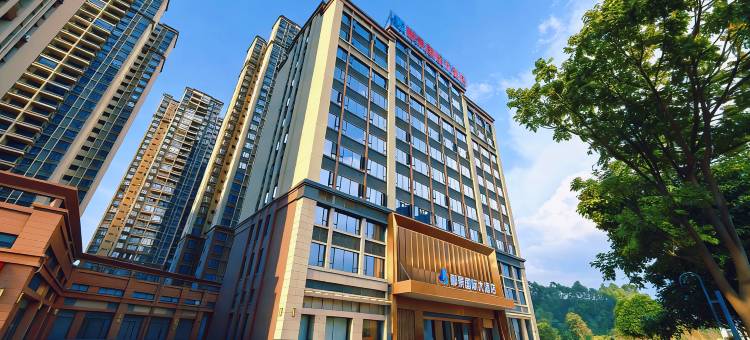 郦景国际大酒店(防城港高铁北站店)图片