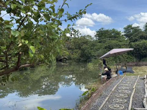 广州从化荔下田边民宿图片