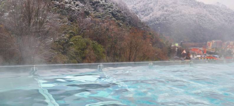 花水湾第一村温泉大酒店图片