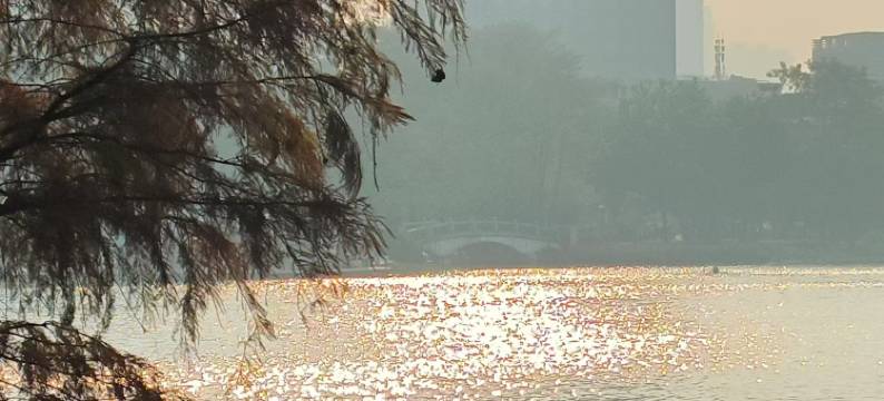 美豪丽致酒店(佛山乐从天佑城店)图片