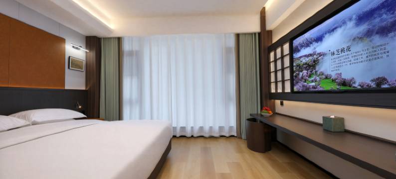 AI·尚家酒店(济源市政府宝龙广场店)图片