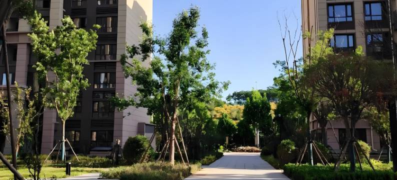 蒲公英民宿图片