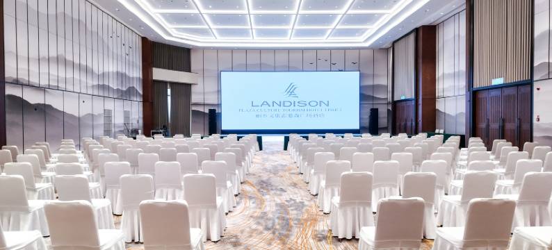 丽水文旅雷迪森广场酒店图片