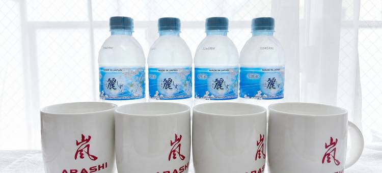 岚酒店 日本桥1号店 No.006(Hotel Arashi Nippombashi 1 No.006)图片