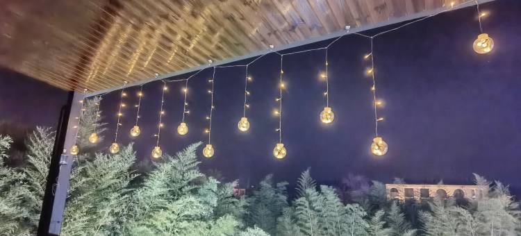 南山竹海忆楠山民宿(溧阳天目湖御水温泉店)图片