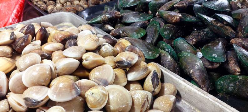 灰姑娘住宅(Cinderella Residence)图片