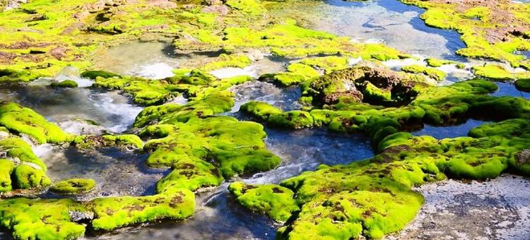 木叶酒店(Konoha)图片