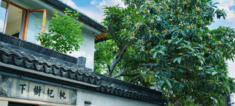 枇杷树下民宿(南浔古镇店)图片