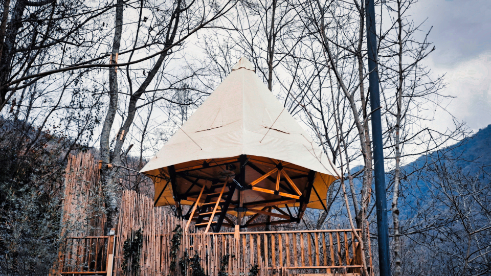 Senxiang Yisu Over view