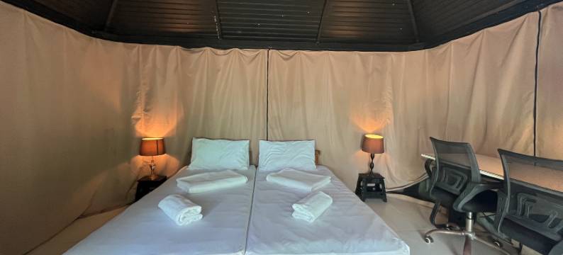 普拉拉-卡莱塔酒店(Playa la Caleta)图片