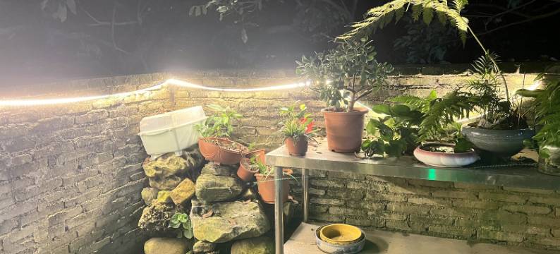 广州从化良口温馨休闲度假民宿图片