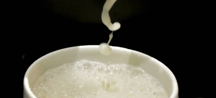 如家商旅酒店(衢州开化根博园店)图片