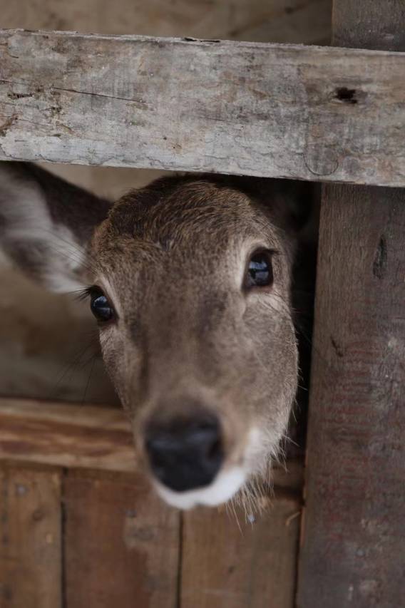 路之青城温泉酒店图片