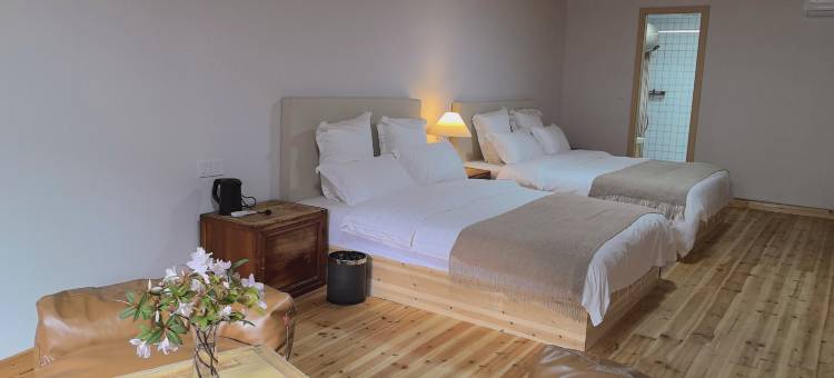 屏南自在花时民宿图片