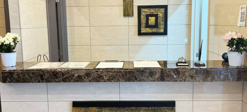 东京日本桥N+酒店(Nplus Hotel Tokyo Nihonbashi)图片