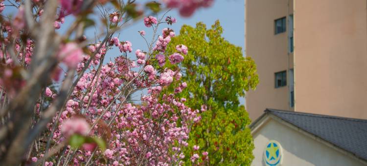 龙陵热水塘温泉酒店图片