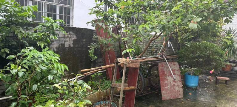 月姑农家乐图片