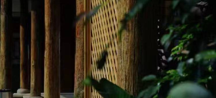 普者黑兮院云上彝居汤泉度假酒店图片