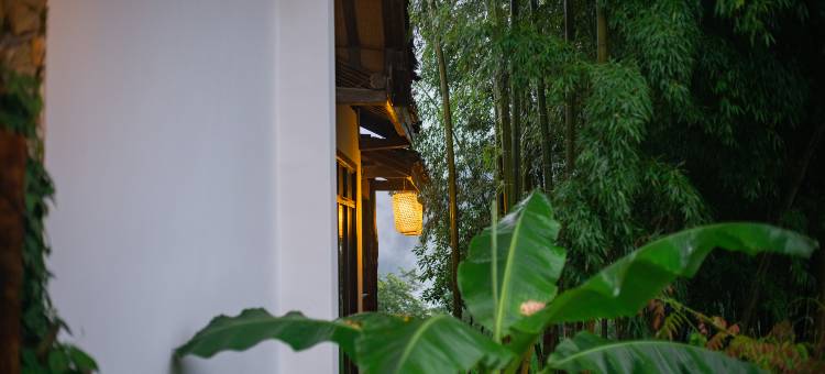 张家界水木潇湘度假民宿(森林公园店)图片