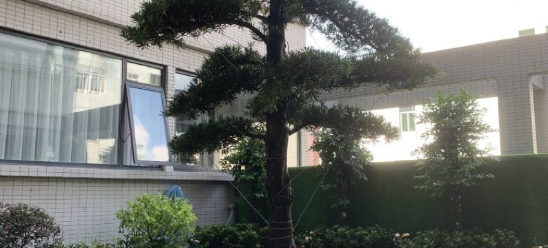 景苑住宿(潮州古城店)图片