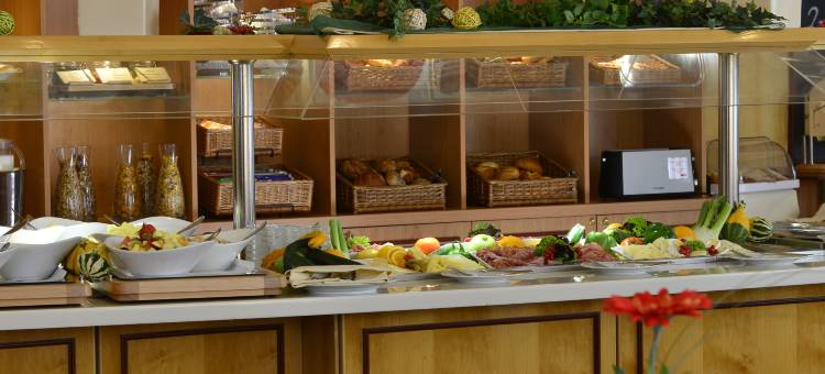 莱昂贝格广场酒店(PLAZA INN Leonberg)图片