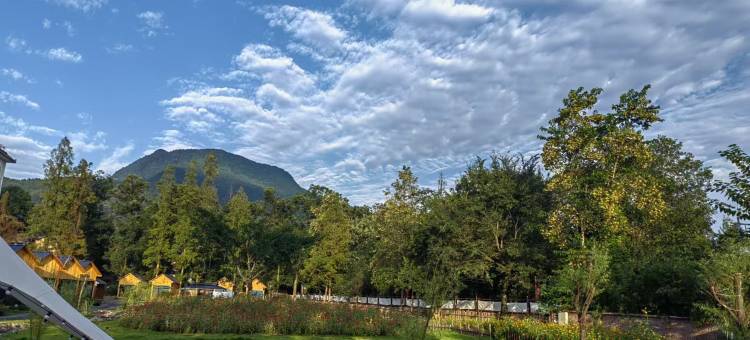 陌野花园酒店图片