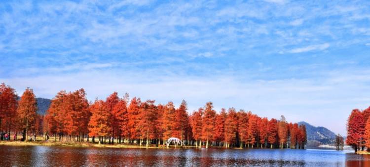 青藤艺宿(余姚阳明西路富巷店)图片