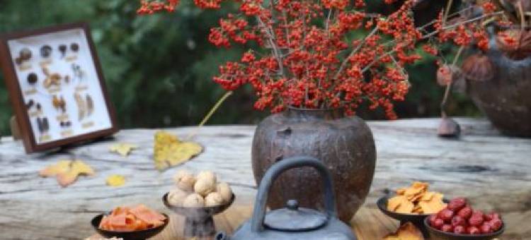 云野有枫·微度假村落民宿图片