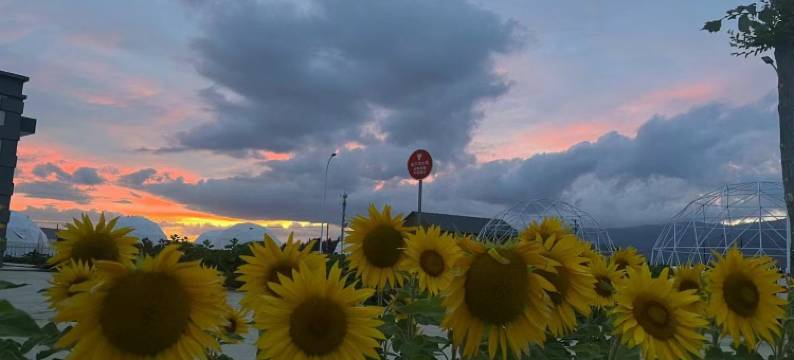 布尔津爱宿酒店(喀纳斯机场店)图片