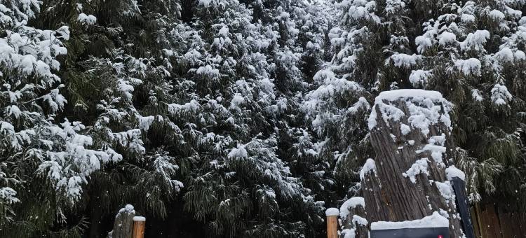 什邡十里松涧汤池民宿图片