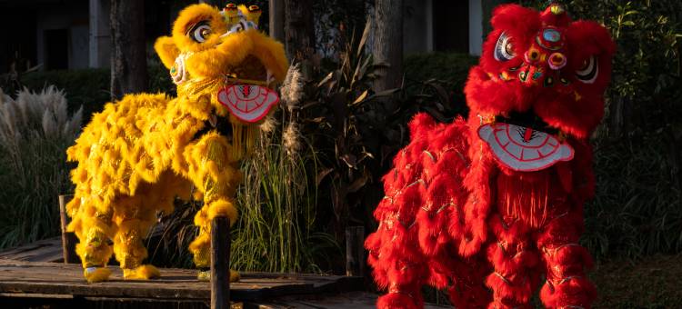 乌镇乌村酒店图片