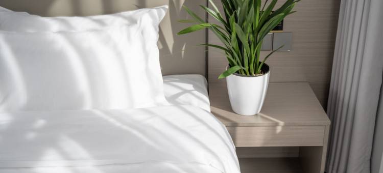 云上四季酒店(绍兴鲁迅故里银泰城店)图片