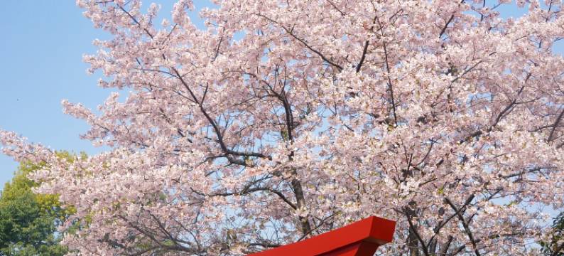 宁波香格里拉大酒店图片